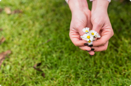 mindfulness course online